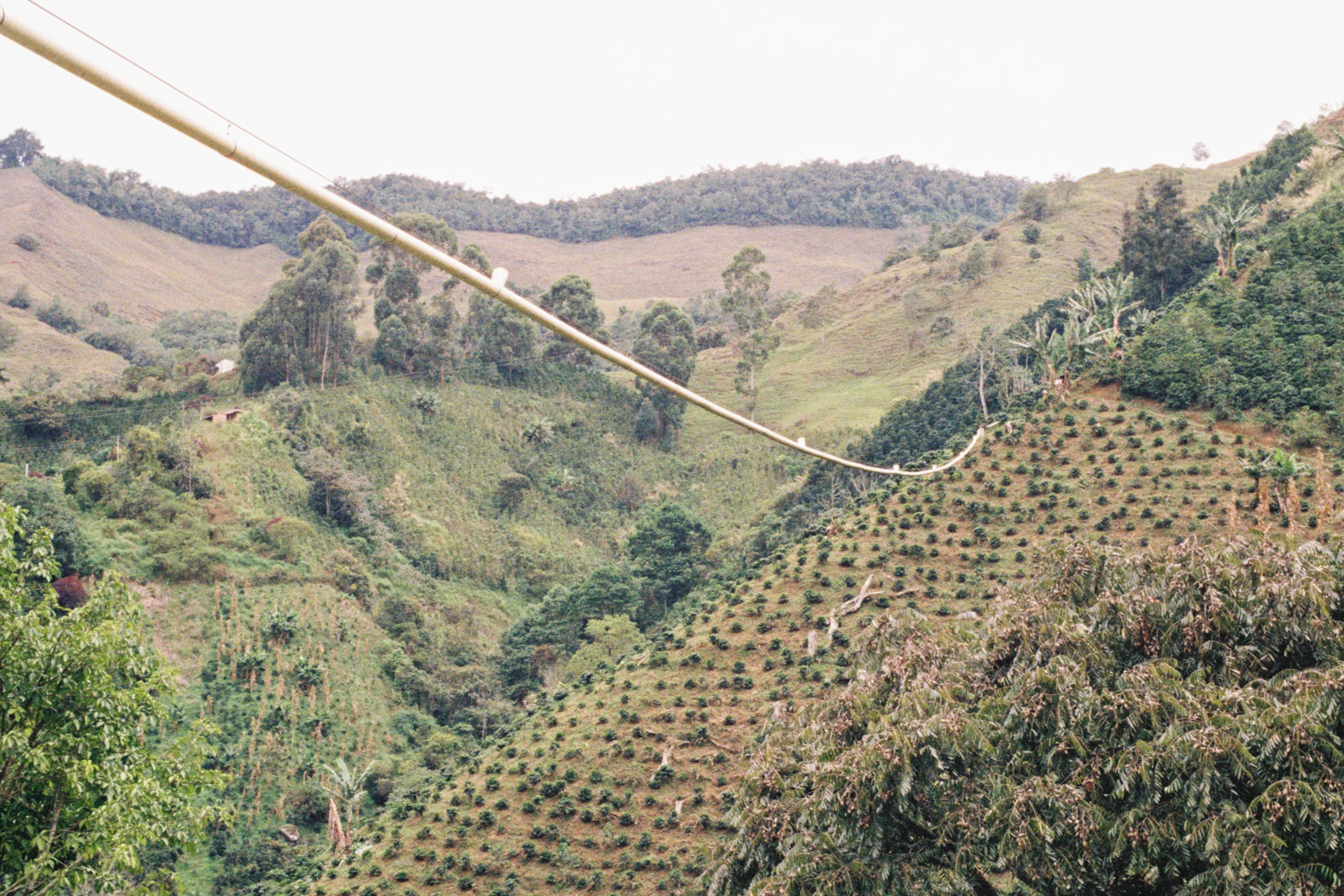 Exceptional Coffee, Consciously Roasted